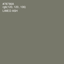 #78786A - Limed Ash Color Image
